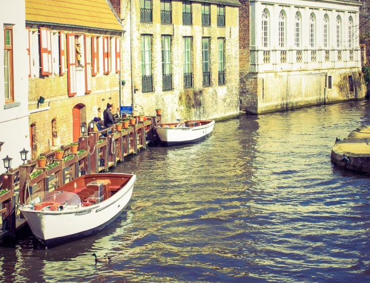 一键状态恢复的在线呼死你